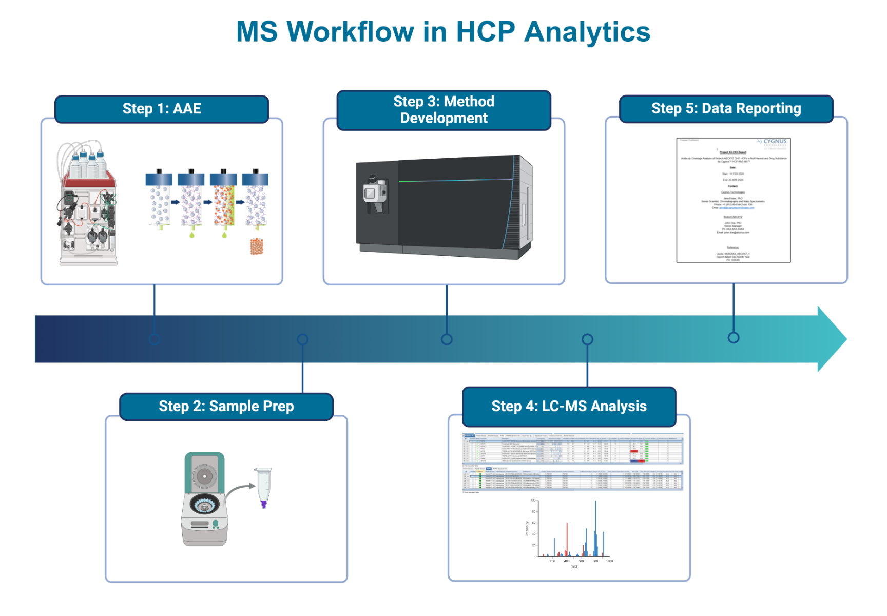MS_workflow_v2