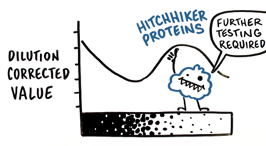 Hitchikers