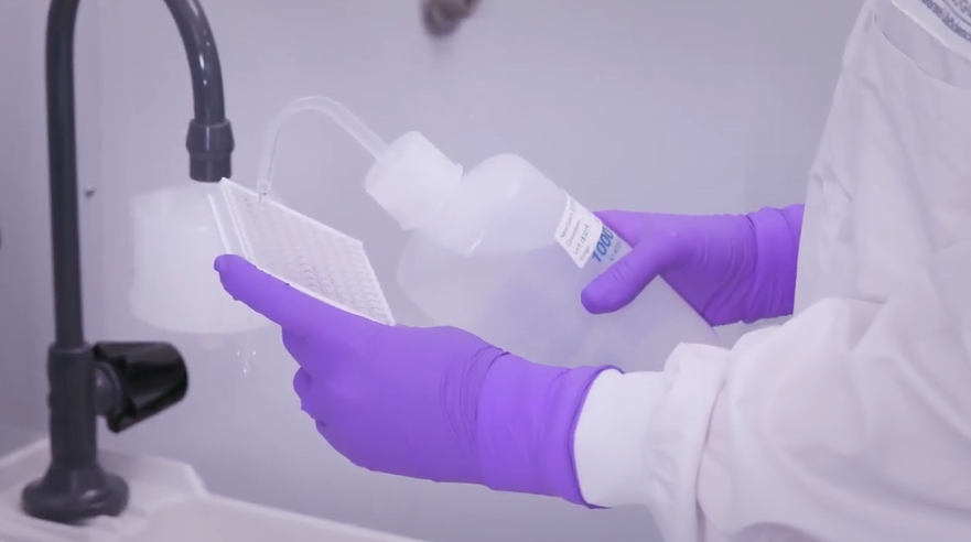 Plate_Washing
