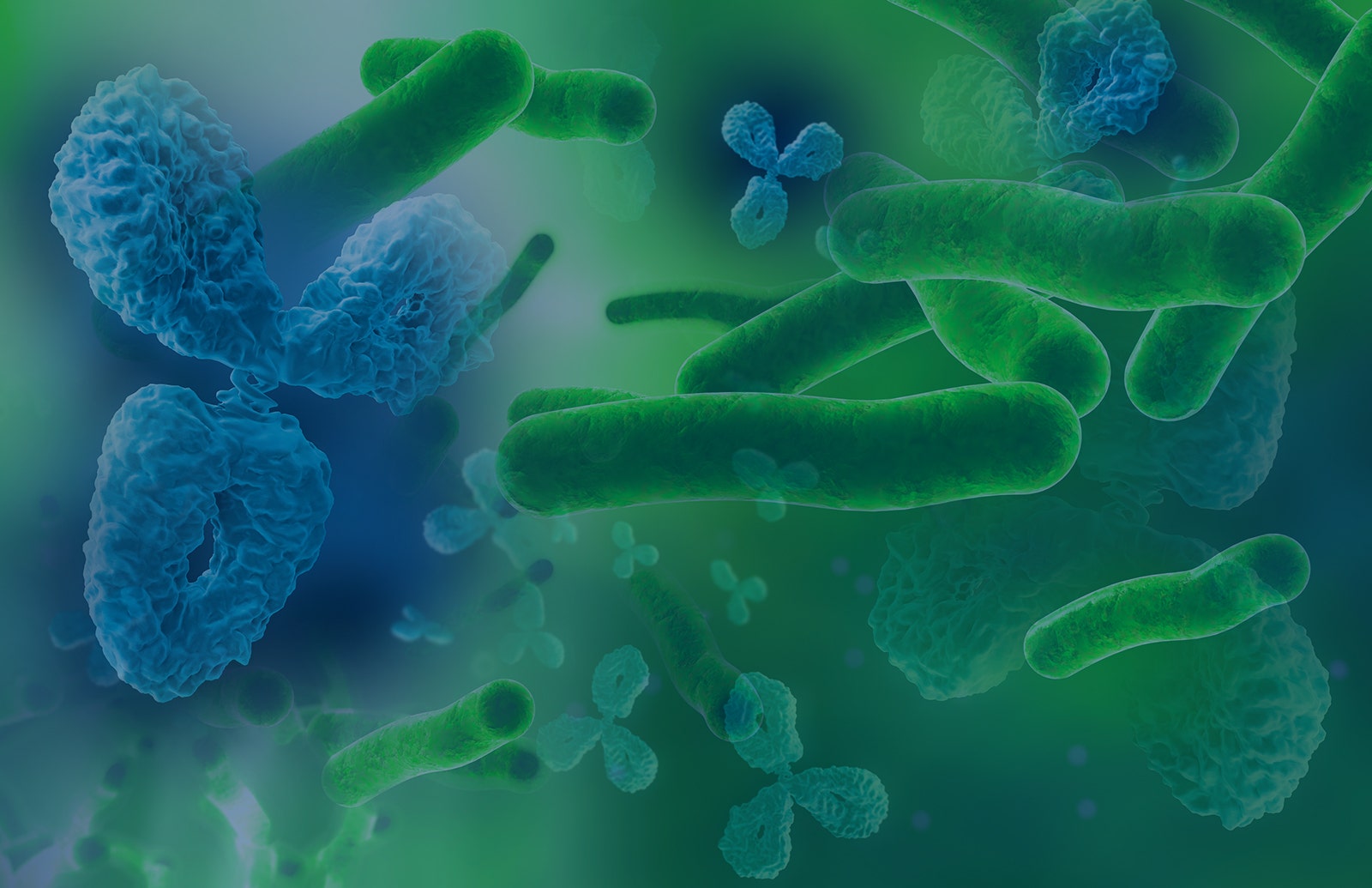 Anti-Bacterial HCP Antibodies