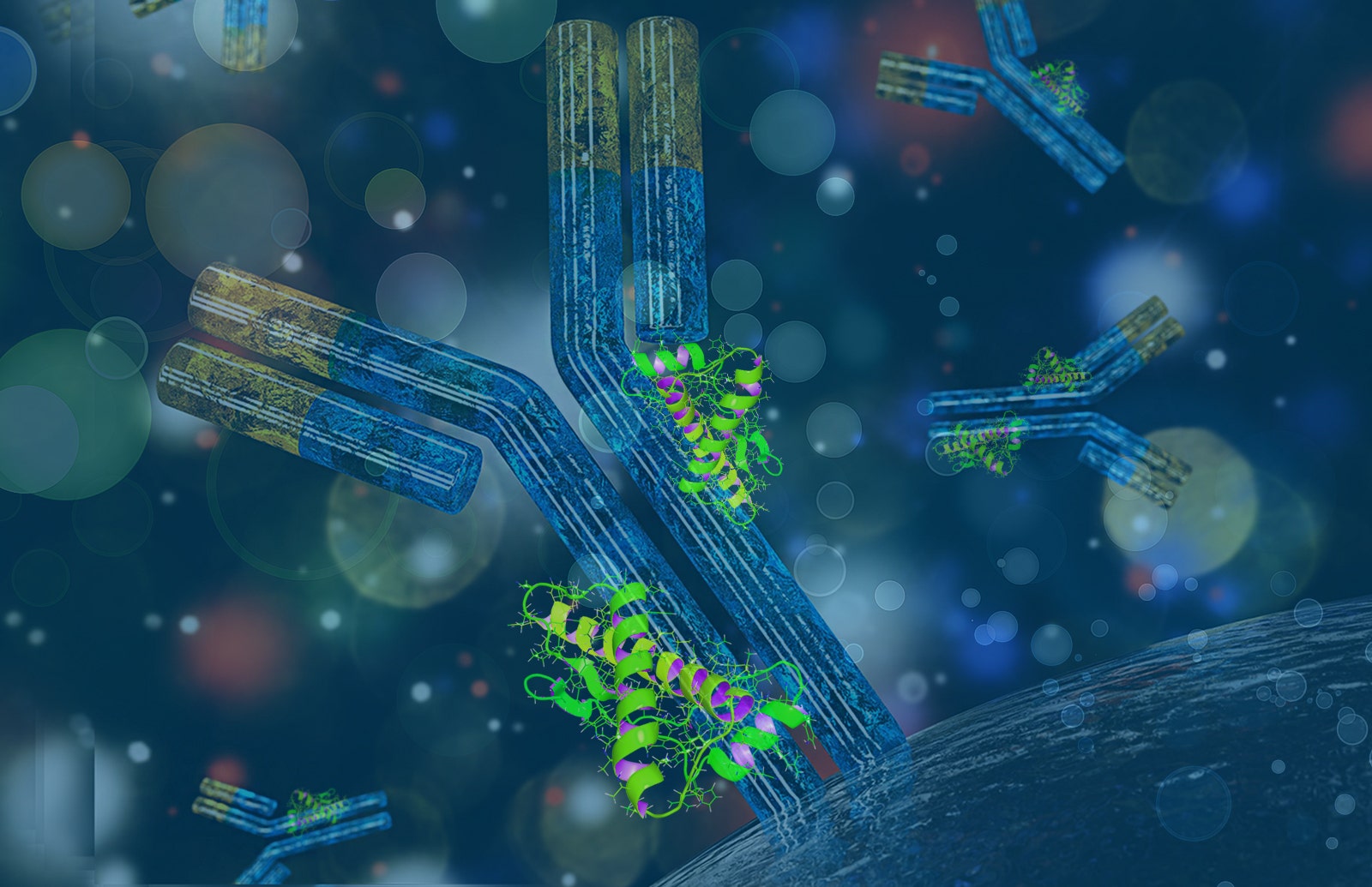 Anti-Protein A Antibodies Anti-Protein A Antibodies