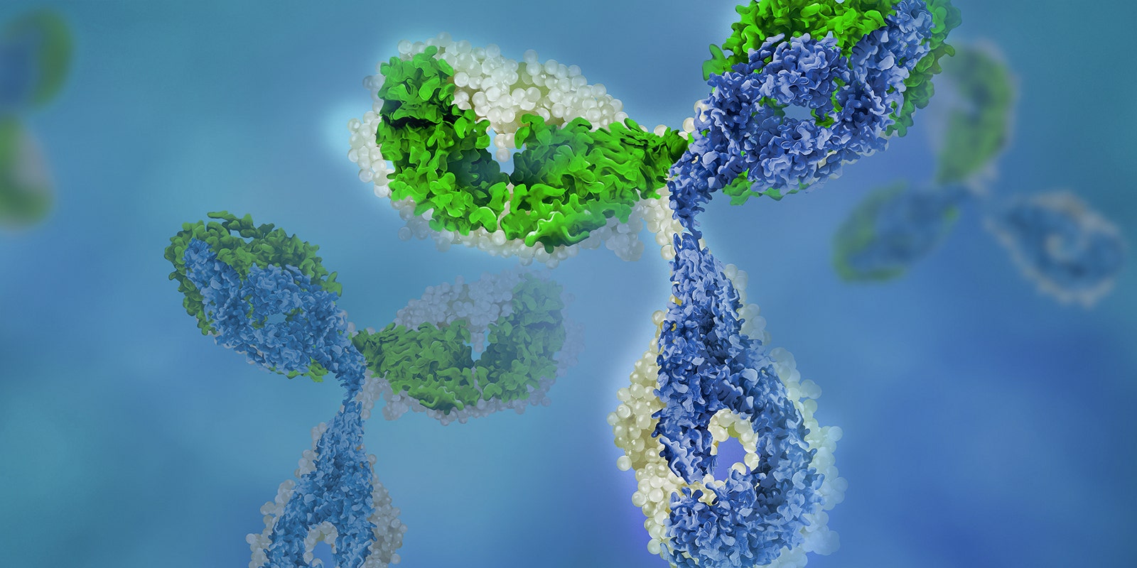 Anti-Mammalian HCP Antibodies
