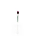 Anti-Protein A:HRP Conjugate Concentrate