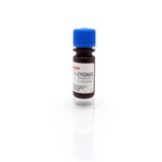 Anti-Vero Cell 2G:HRP Conjugate
