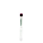 BHK HCP Antigen Concentrate