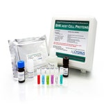 BHK HCP ELISA Kit