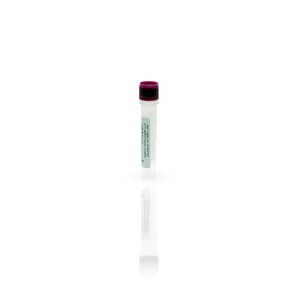 CHO Control Antigen