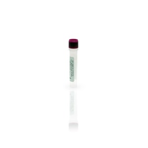 CHO HCP Antigen Concentrate, 3G