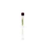 CHO HCP Antigen Concentrate