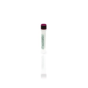 CHO HCP Standard F