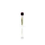 CHO Lysate Antigen Concentrate