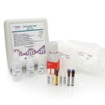 CHO AccuRes™ DNA Quantification Kit in Tubes