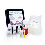CHO DNA Amplification Kit in Tubes