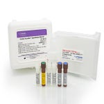 Human AccuRes™ Quantitative DNA Kit