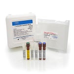 <i>E. coli</i> AccuRes™ Quantitative DNA Kit