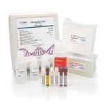 CHO AccuRes™ DNA Quantification Kit in Wells