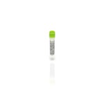 <i>E. coli</i> HCP Antigen Concentrate, WB