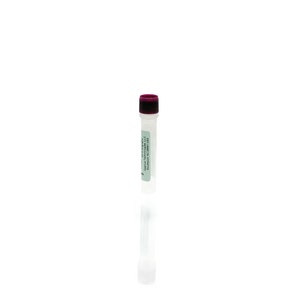 <em>E. coli</em> HCP Control Antigen