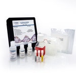 <em>E. coli</em> DNA Amplification Kit in Tubes