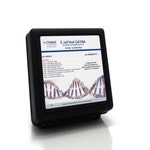 <em>E. coli</em> DNA Amplification Kit in Wells
