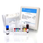 <i>E. coli</i> HCP ELISA Kit, 2G