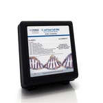 <em>E. coli</em> Host Cell DNA Detection Kit in Wells