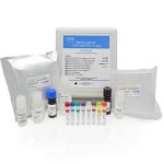 Protein A Mix-N-Go™ ELISA for Amsphere™ A+ Ligand