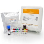 NS/0 HCP ELISA Kit, 2G