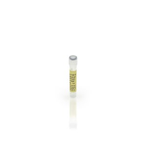 Anti-NS/0 2G Antibody