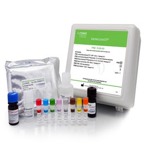 EndonucleaseGTP<sup>®</sup> ELISA Kit