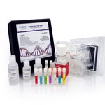 Human Host Cell DNA Detection Kit in Tubes