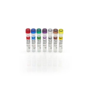 PER.C6<sup>®</sup> HCP Standards Set, A-G