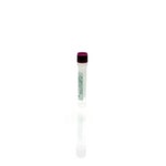 <em>Pichia pastoris</em> Antigen Concentrate for Cat # F640