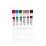 <em>Pichia pastoris</em> HCP 2G Standards Set, A-F