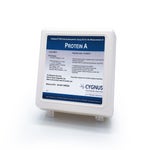 Protein A ELISA Kit