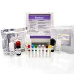 Protein A ELISA Kit