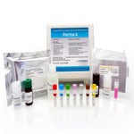 Protein A ELISA Kit