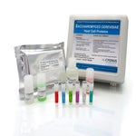 <em>S. cerevisiae</em> HCP ELISA Kit
