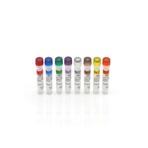 Sf9 HCP Standards Set, A-H