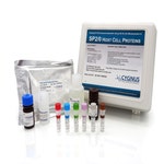 SP2/0 HCP ELISA Kit