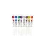 SP2/0 HCP Standards Set, 2G