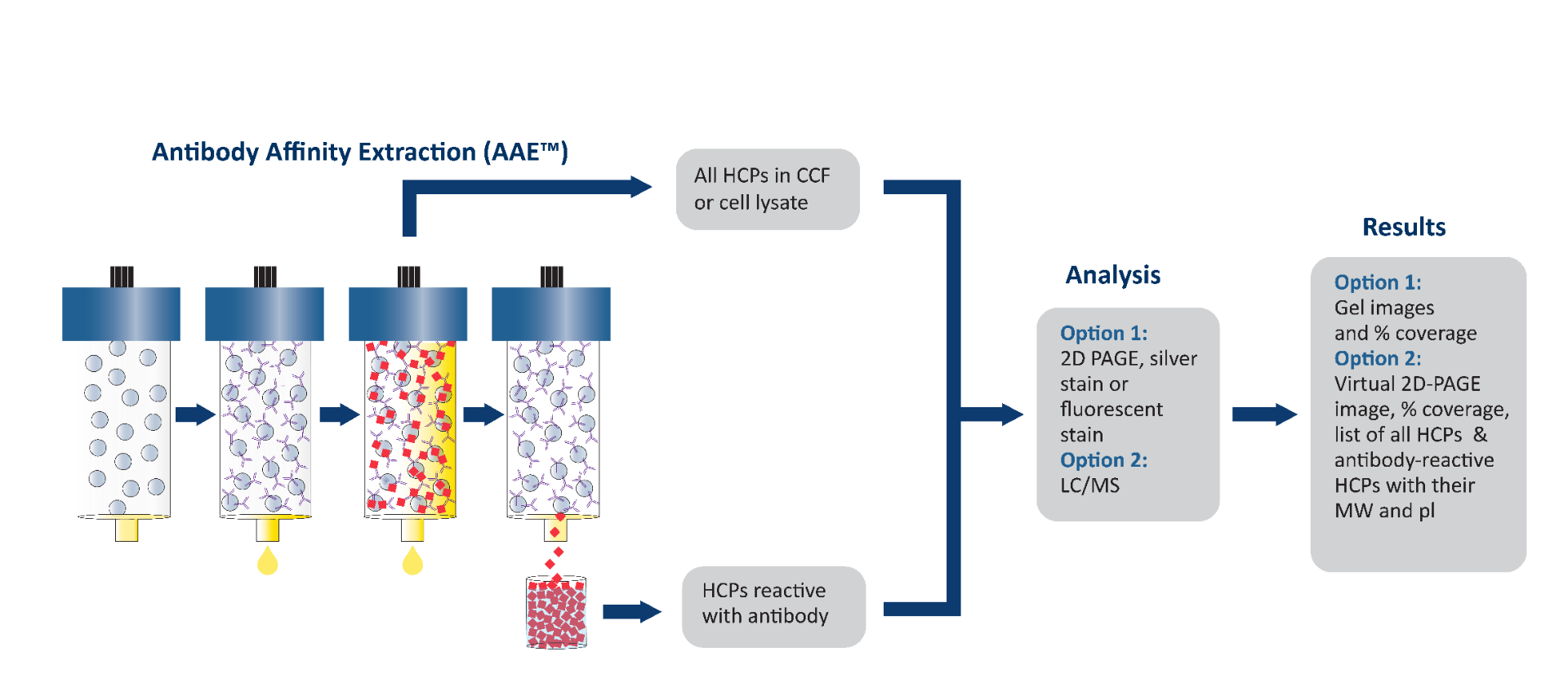 Antibody-Affinity-Extraction_AAE__11-20-01_002_