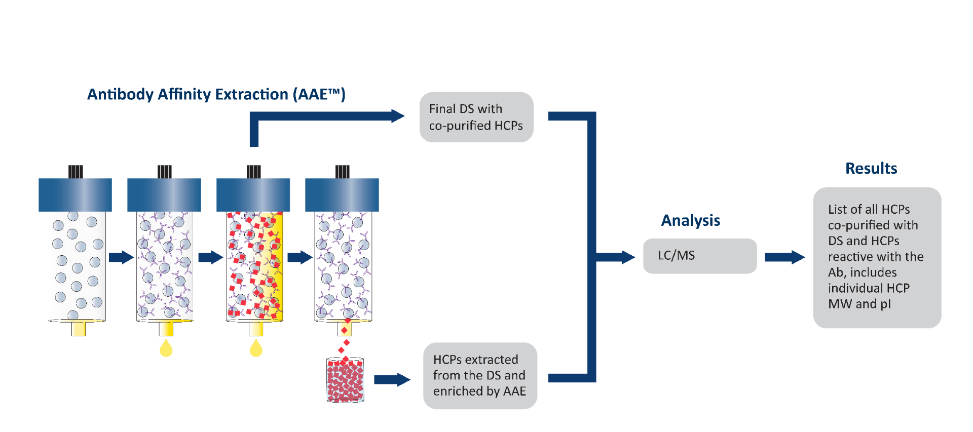Antibody-Affinity-Extraction_AAE__11-20-02_002_
