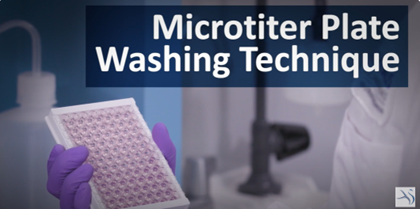 Plate_Wash_title